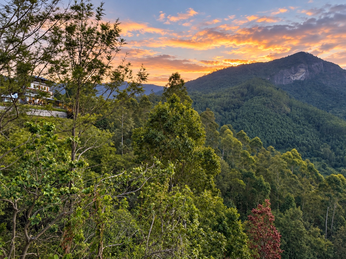 Forest and hillside view at Alpine Valley Inn